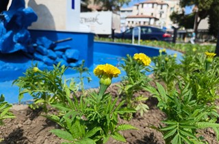 Gemlik’te Saat Kulesi ve Havuz Çevresinde Yenileme Çalışmaları